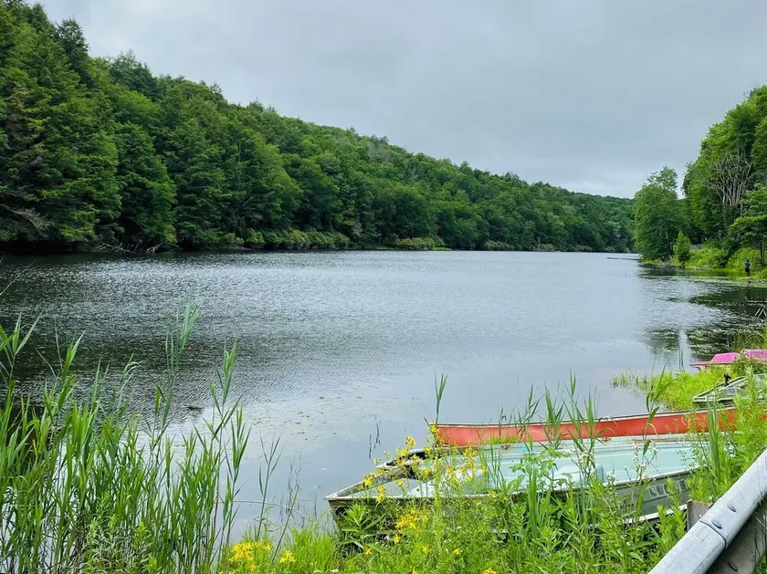 Rustic cabin near shared lake - Image 1