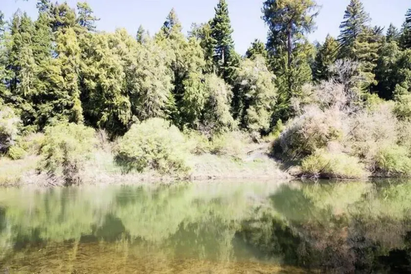 Robins Hood am Fluss mit spektakulärer Aussicht, in der Nähe von Weinbergen und Küstenstränden - Image 1