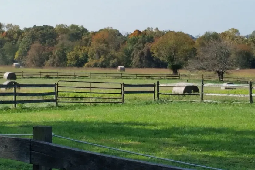Pleasant Hills Farm Stargazer Farmstay - Image 1