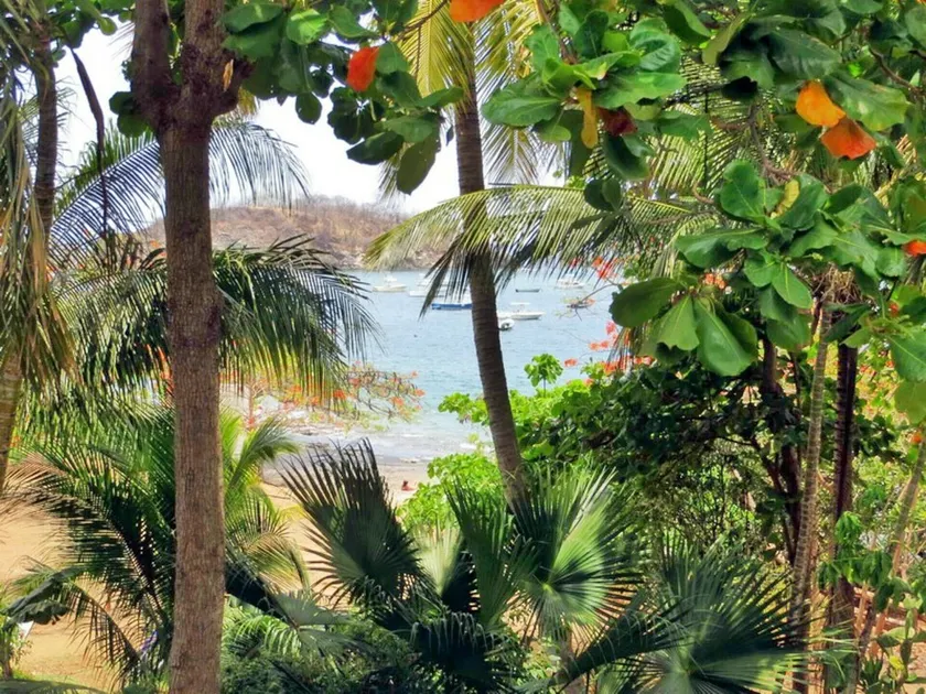 Casa Uno, Beachfront in Lovely Playa Ocotal. - Image 1