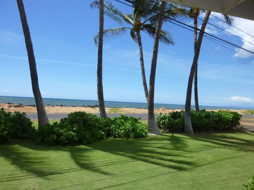 Ocean Front..Hale Kekaha Palms at the Beach...Air Conditioned  -  TVNCU #1004 - Image 1