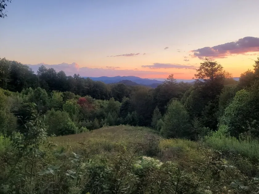 Almost Heaven - Quiet Mountain Home - Image 1