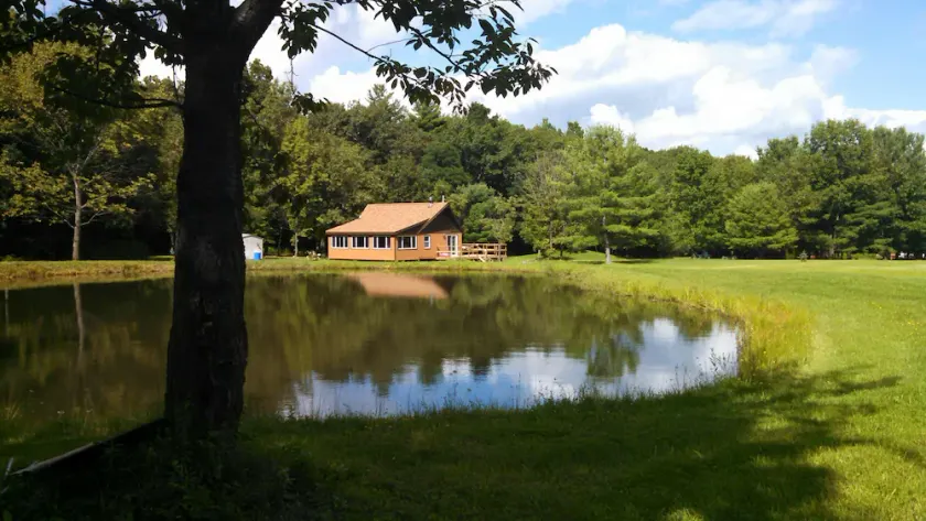 Grey's Getaway Cabin  5 acres, Finger Lake area a little slice of heaven! - Image 1