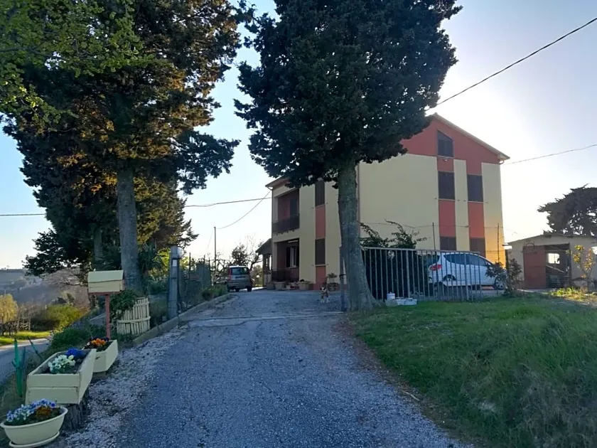 Il Melo Rosa - Image 1