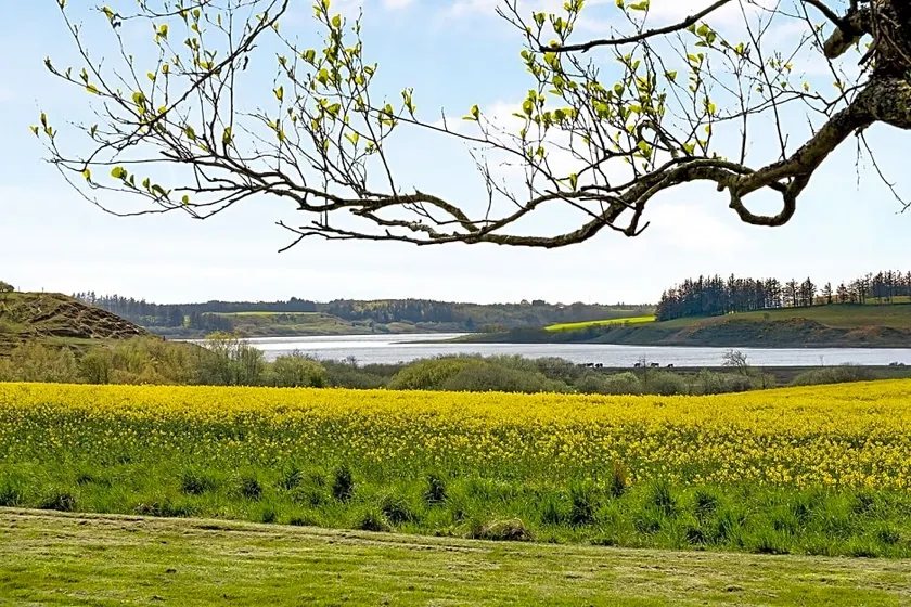 KilenBB - Image 1