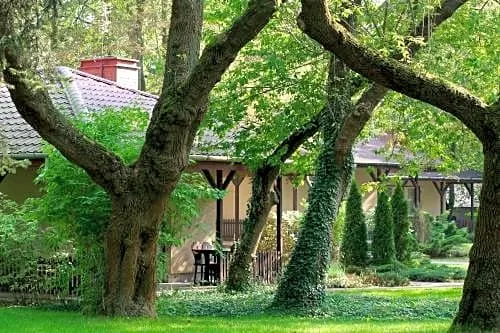 Lipowy Przyladek - Szkolenia i Wypoczynek - Image 1