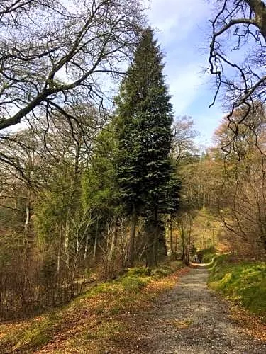 Bryncoed - Image 1