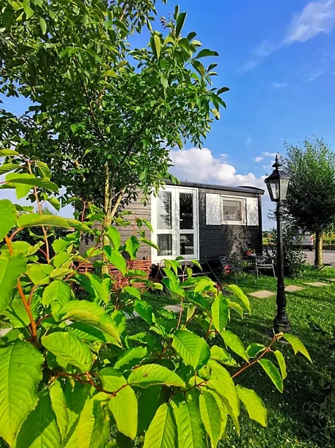B&B Op de Terp - Image 1