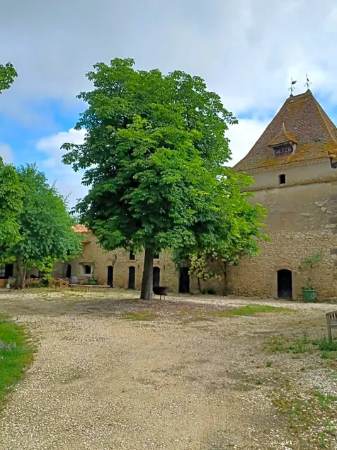 Domaine l'Esprit d'Antan - Image 1