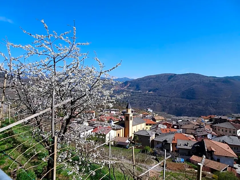 B&B San Valentino - Image 1