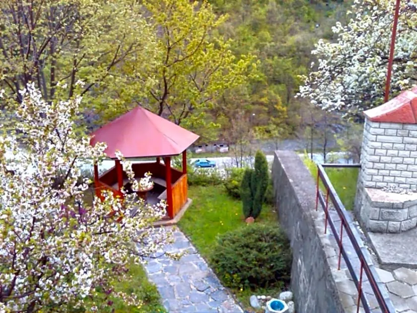Forest Spring - Image 1