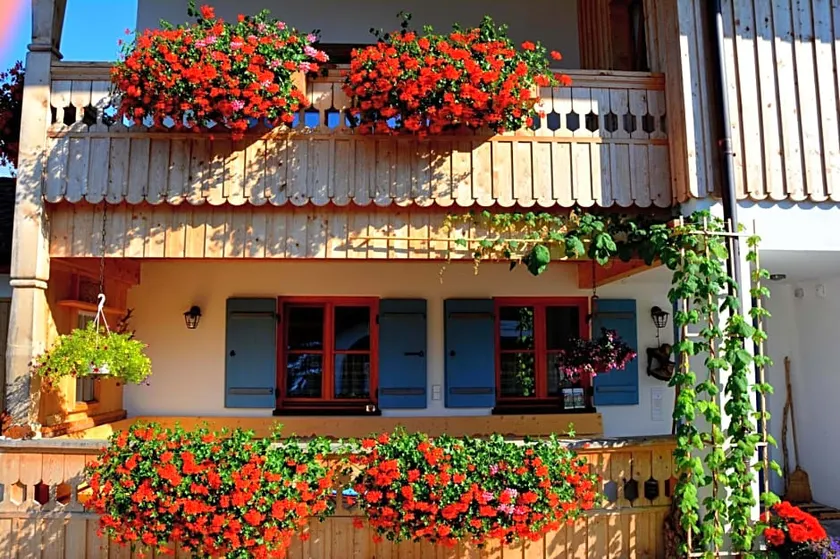 Gastehaus Wild-Schutz - Image 1