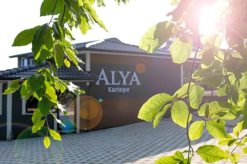 Alya Kartepe Villa Hotel - Image 1