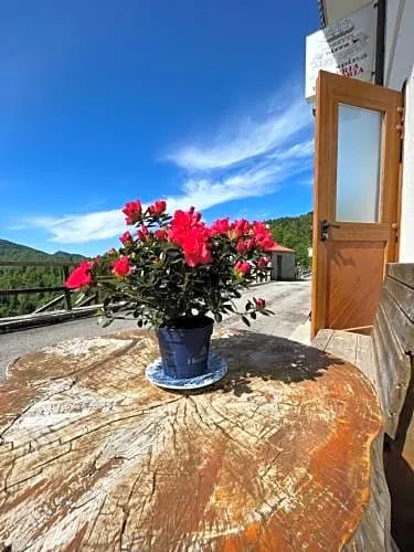 Casa Svetlana - Image 1