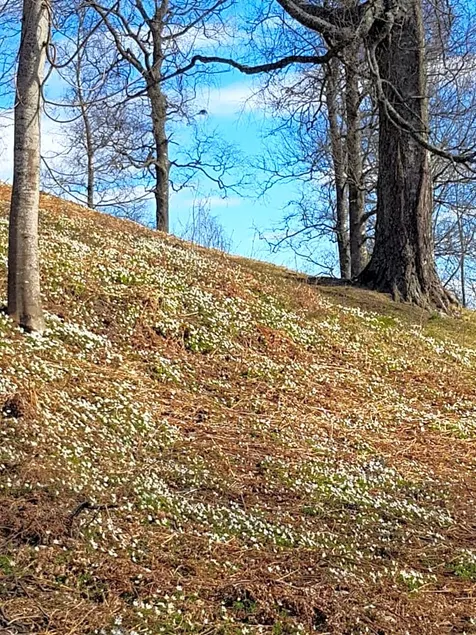 Pilegrimsherberge InnomHaug - Image 1
