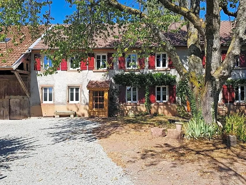 Le jardin des gouttes - Image 1