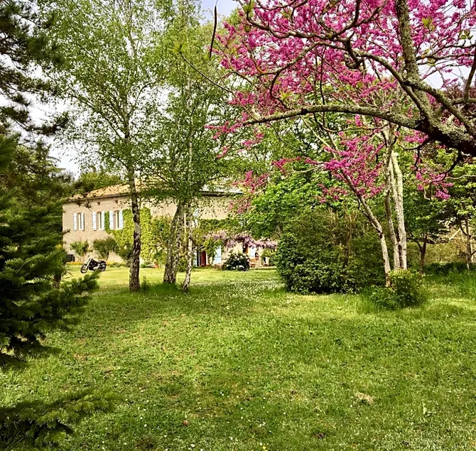 Chateau de Cartou - Image 1