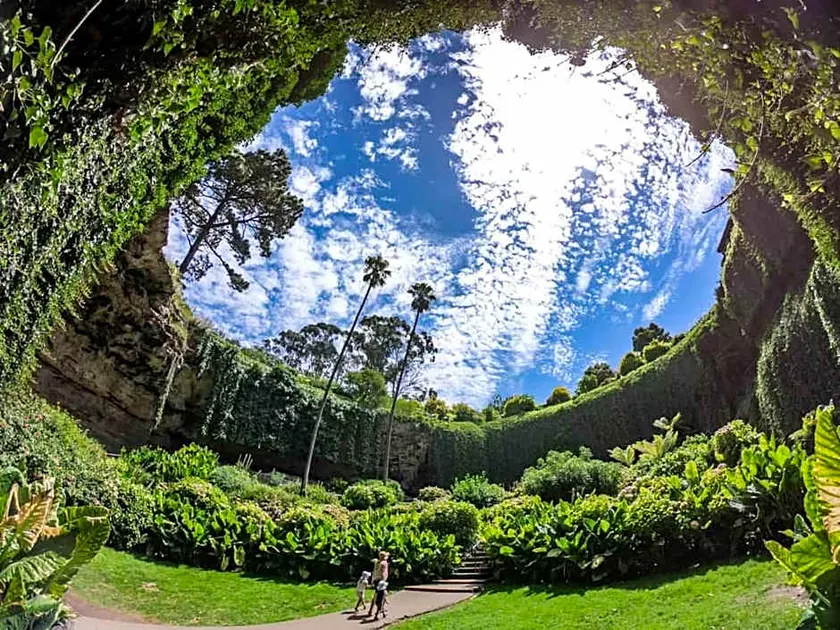 Mt. Gambier Residency - Image 1