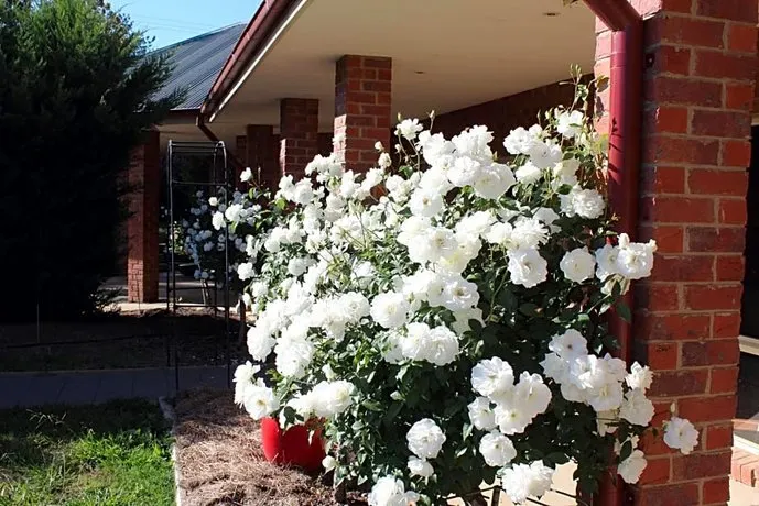 Gundaroo Manor Bed & Breakfast - Image 1