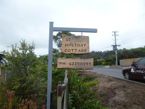 19 Blue - Image 1