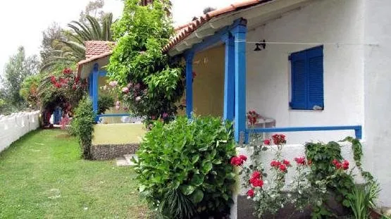Sophia's House - Image 1