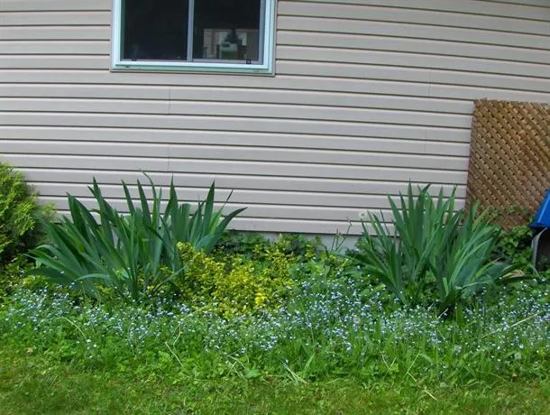 Sunset Cottages Port Elgin - Image 1