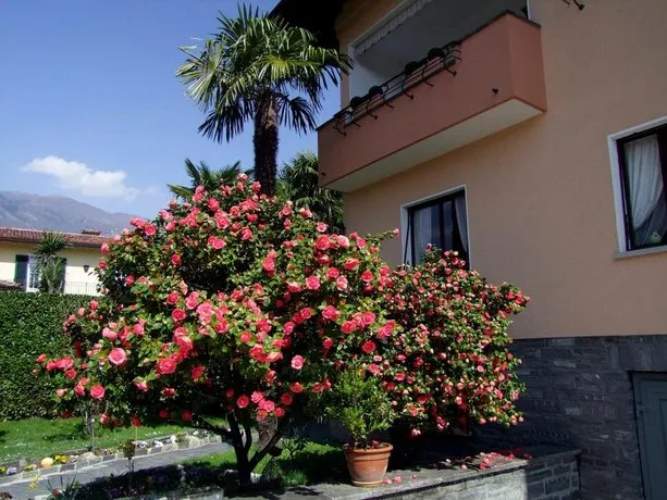 Apartment Casa Thuja - Image 1