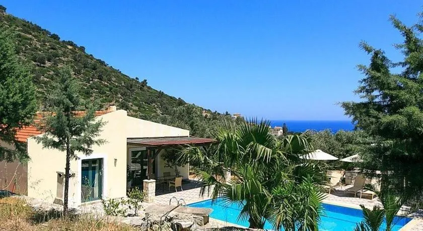 Dimitris - Image 1