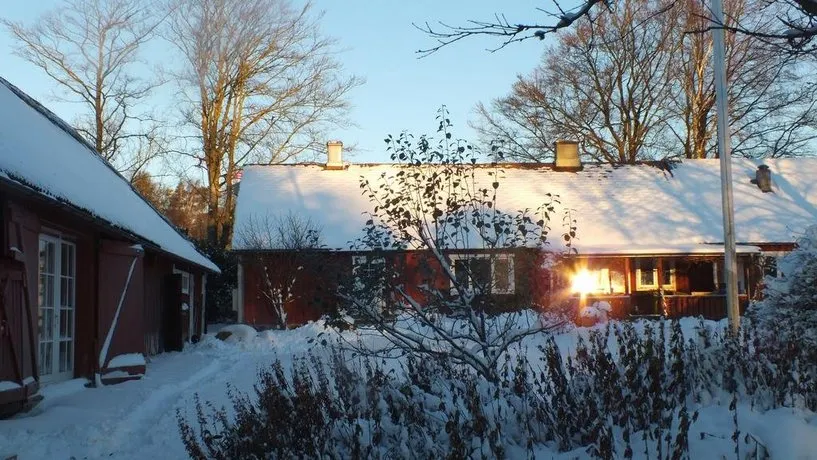 Under Linden - Image 1