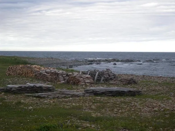 Wildberry Country Lodge - Image 1