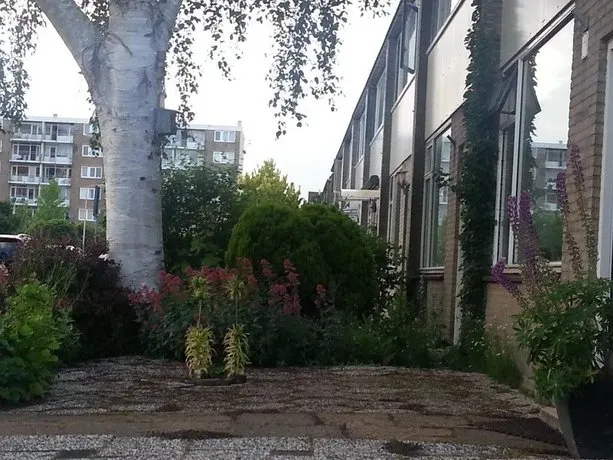 Homestay Dutchable - Image 1