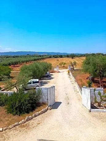Lama Cupa - Image 1