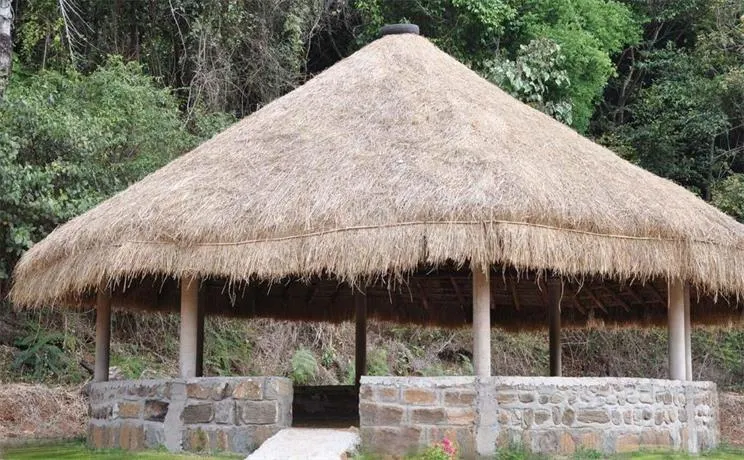 Kadumakki Resorts - Image 1