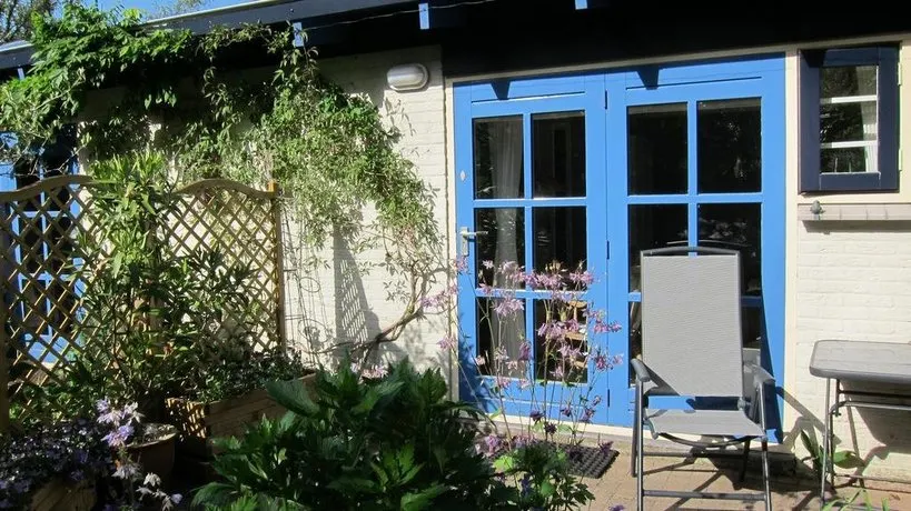 Felicitas Studio - Image 1