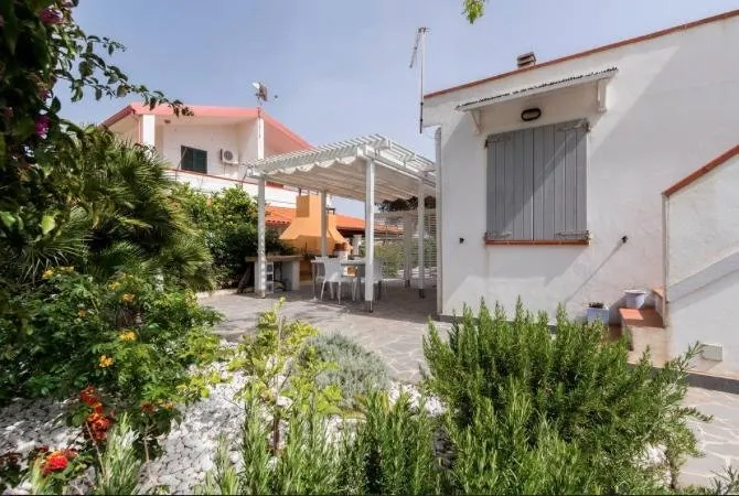 Le Mimose Calasetta - Image 1