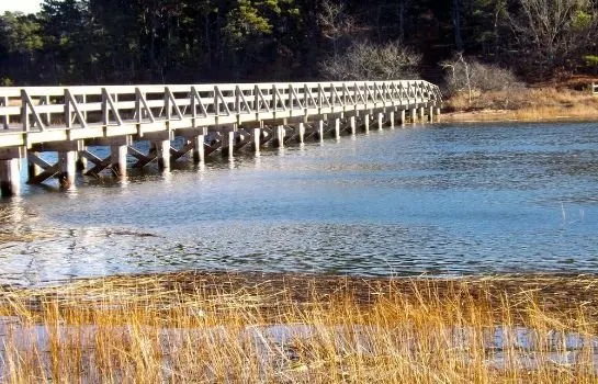 The Wagner at Duck Creek - Image 1