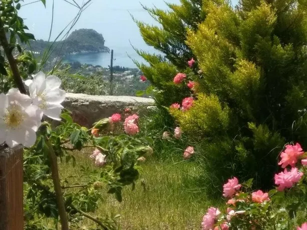Tsira Hotel - Image 1