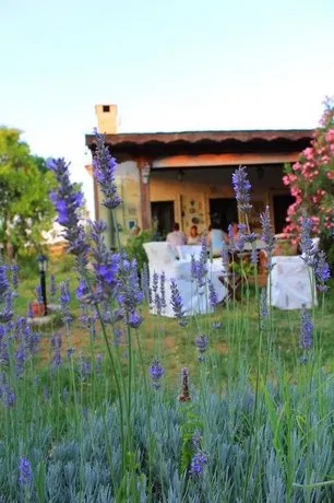 Bagbadem Holiday Farm - Image 1