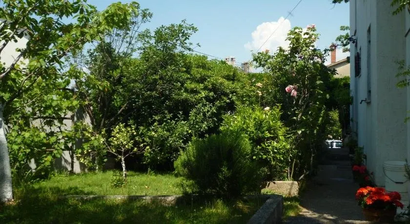 Leona - Image 1