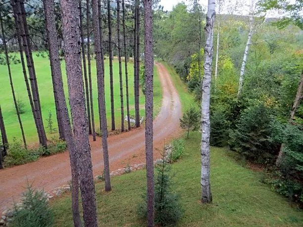 La Maison sous les arbres - Image 1