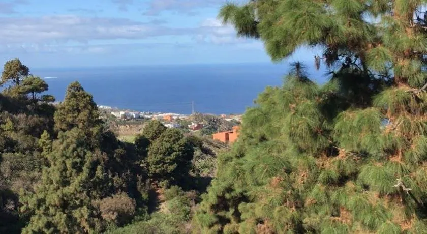Riendas Vivas - Image 1