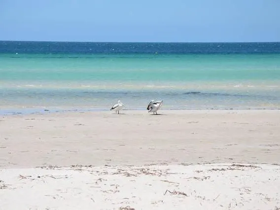 Island Beach House - Image 1