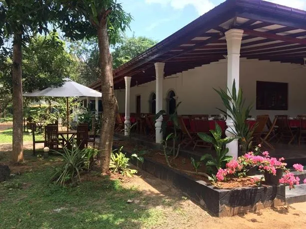 Ciigiri Splendour - Image 1