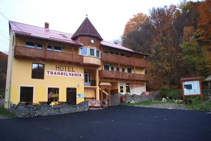 Vila Transilvania - Image 1