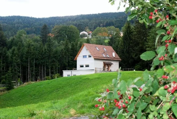 Chalet Ur-Gmiatli - Image 1