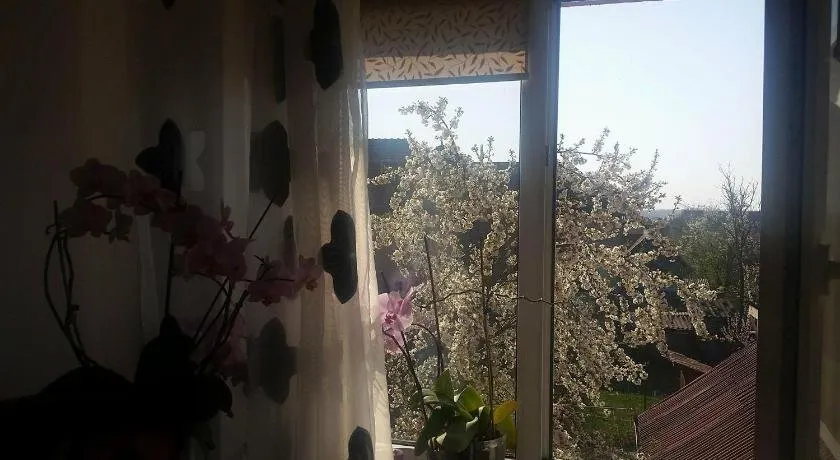 Casa Cu Flori - Image 1