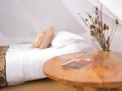 Plush Tents Glamping - Image 1