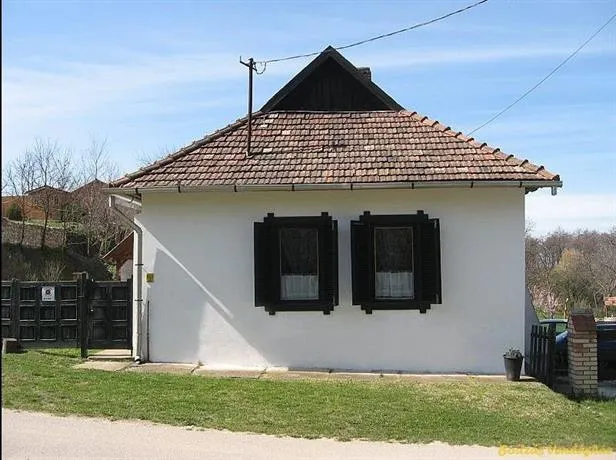 Bodzas Vendeghaz - Image 1