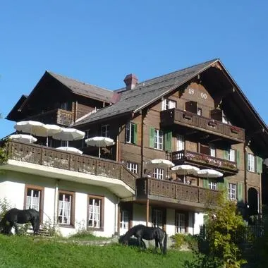 Hotel Wildhorn - Image 1