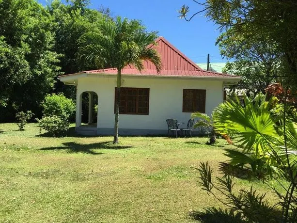 Tropical Residence - Image 1
